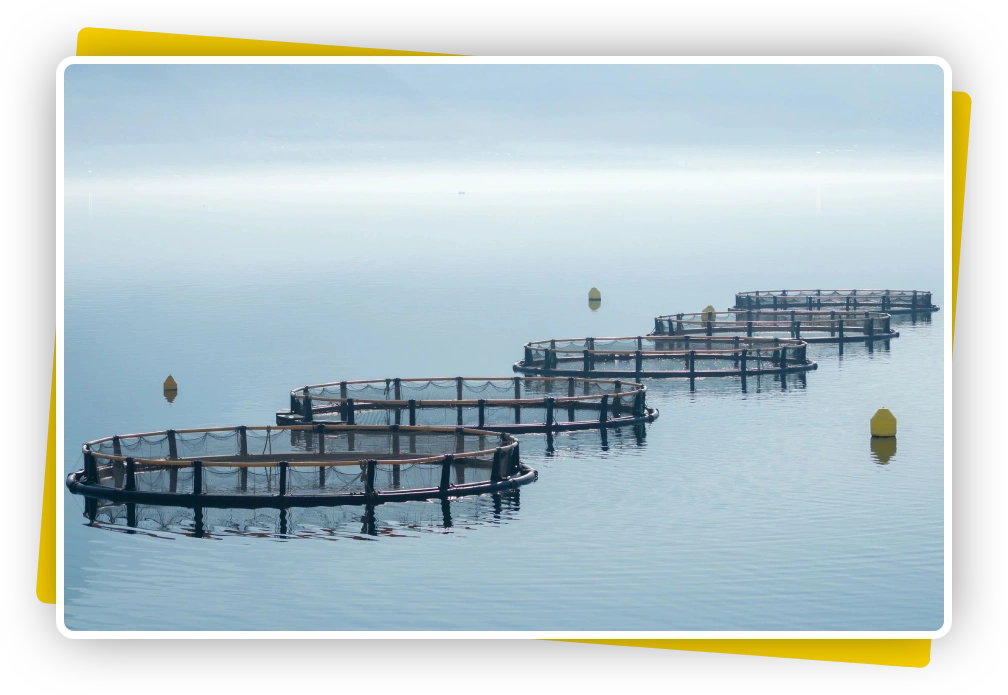 Fish farming