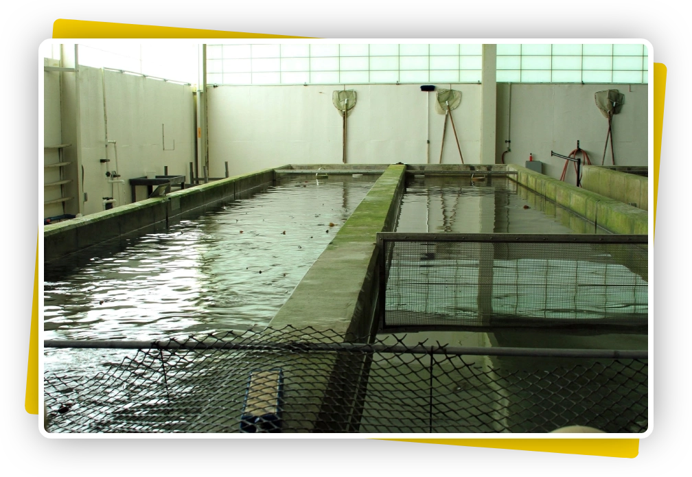 Indoor fish farm