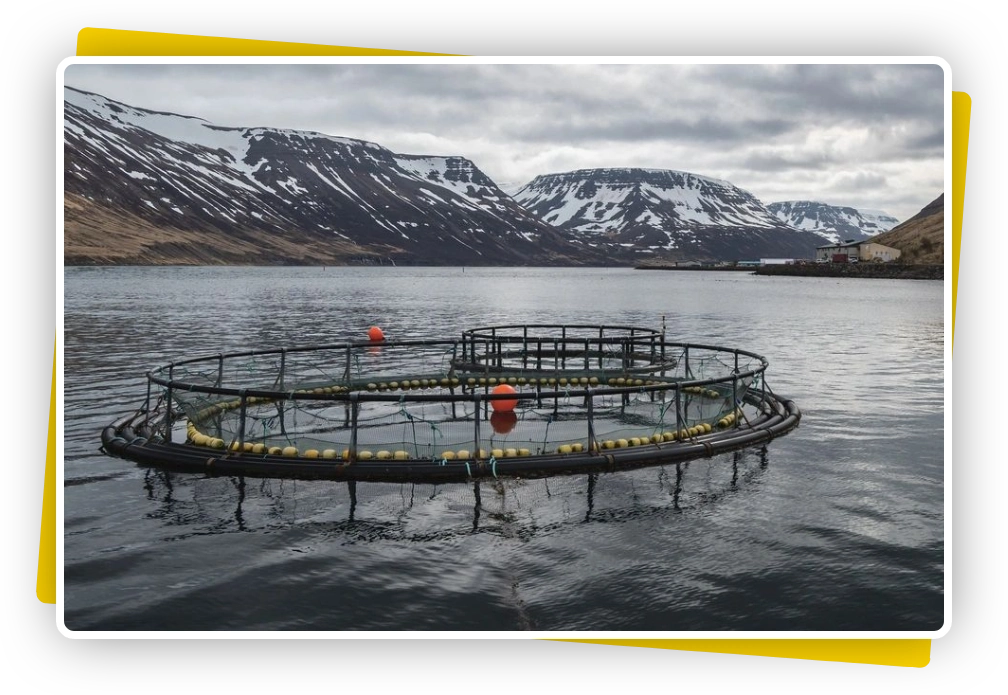 fish farm